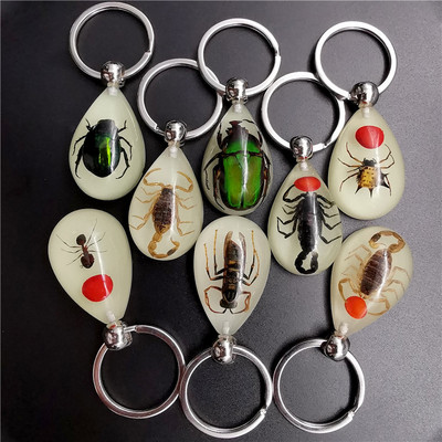 Divat borostyángyanta kulcstartó Valódi rovar Skorpió hangyák Noctilucent kulcstartó ajándék nagykereskedés