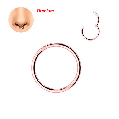 14/16/18/10G Karike za nos na šarke Obruč Titan/čelik Helix Hrskavica Daith Tragus Sleeper Naušnice Nakit za piercing