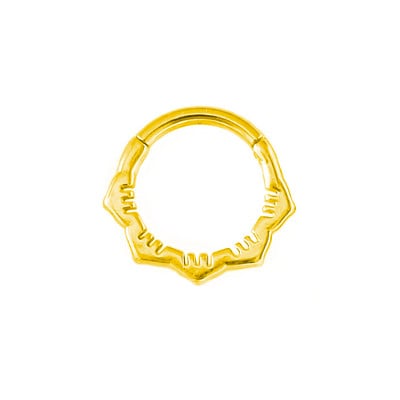100% 316L sebészeti acél cirkon orrgyűrű Clicker Daith piercing fülporc Helix karika virágok vízcseppek