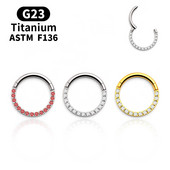 G23 Titanium Daith Naušnice Obruč CZ Zglobni segment Kliker Prsten za nos Bradavica Ušna hrskavica Tragus usne Nit Piercing Nakit za tijelo