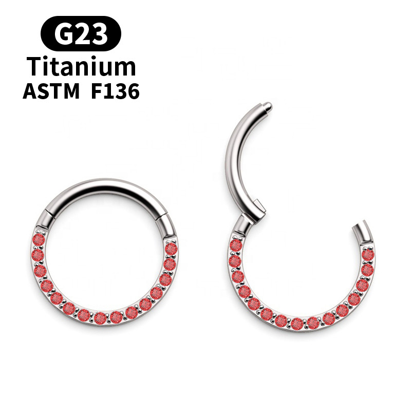 G23 Titanium Daith Naušnice Obruč CZ Zglobni segment Kliker Prsten za nos Bradavica Ušna hrskavica Tragus usne Nit Piercing Nakit za tijelo
