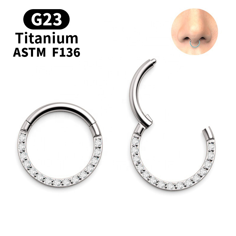G23 Titanium Daith Naušnice Obruč CZ Zglobni segment Kliker Prsten za nos Bradavica Ušna hrskavica Tragus usne Nit Piercing Nakit za tijelo