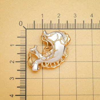 Hanreshe Anatomy Stomach Organ Brooch Pin Медицинско качество на ревера Раница Значка за храносмилателния стомах Бижута за лекари Медицинска сестра