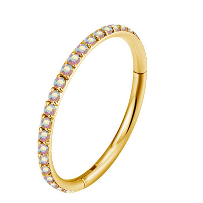 ASTM F136 Titanium Rhed Segment Hoop CZ Septum Nose Ring Thinple Clicker Tragus Helix Labret Lip Earring Piercing Body Jewelry