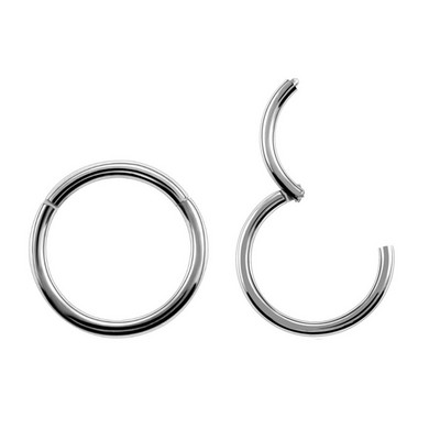 2db/tétel G23 titán csuklós szegmensű orrgyűrűk ajak szemöldök mellbimbó kattanó fülszeptum Helix Tragus Captive piercing testékszer