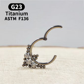 G23 Titan Piercing Nas Inel Naz Septum Piercing Inel Nariz Piercing Ureche Cartilage Tragus Goth Piercing Nez