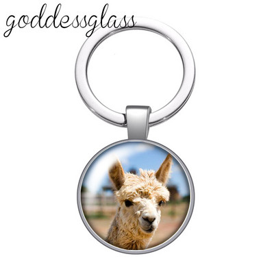 Dragoste animale Drăguț Cal Arici Alpaca zebră Porc breloc cabochon din sticlă Geantă Breloc mașină Suport inel Brelocuri brelocuri Cadouri