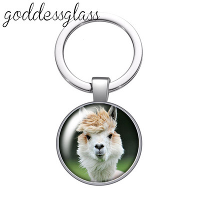 Dragoste animale Drăguț Cal Arici Alpaca zebră Porc breloc cabochon din sticlă Geantă Breloc mașină Suport inel Brelocuri brelocuri Cadouri