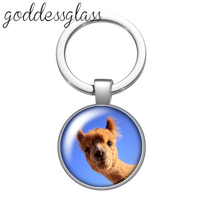 Dragoste animale Drăguț Cal Arici Alpaca zebră Porc breloc cabochon din sticlă Geantă Breloc mașină Suport inel Brelocuri brelocuri Cadouri