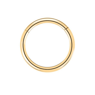 20G 18G 16G G23 titan cu balamale segment inel nas septum clicker cartilaj ureche tragus helix piercing buze bijuterii punk unisex