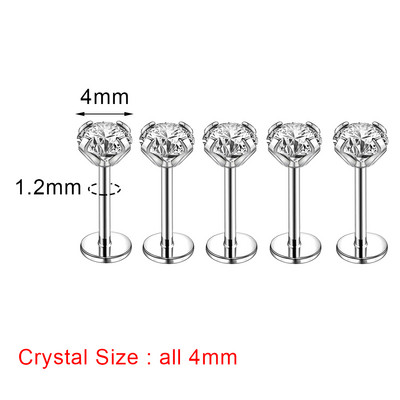 ZS 16/18/20G Zircon Buze Stud pentru Femei Body Piercing Bijuterii Cercei Helix Conch din oțel inoxidabil 5PCS Piercinguri pentru nas Bărbați