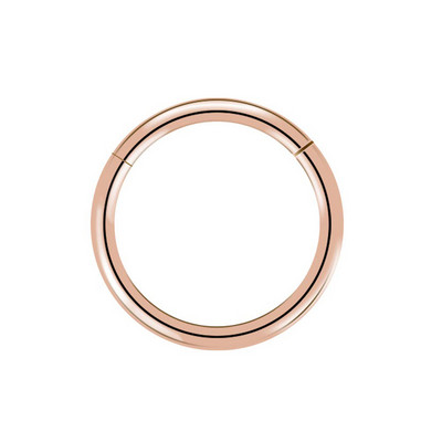 20G 18G 16G G23 Titan Piercing Nas Inele Buze Piercing Ureche Cerc Cartilaj Tragus Helix Conch Cercei Septum Bijuterii Pentru Femei