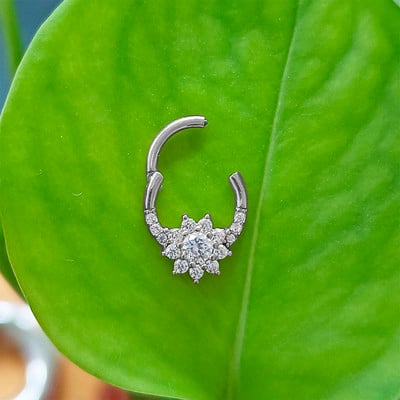 100% Oțel Chirurgical Segment Inel articulat Ureche Cartilaj Helix Rook Tragus 16G Piercing Ureche CZ Forma Inel Nas Septum Clicker