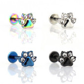 1db Paw Zircon Labret ajakgyűrű rozsdamentes acél belső menetes Monroe gyűrű testékszer 16g porc Tragus Helix piercing