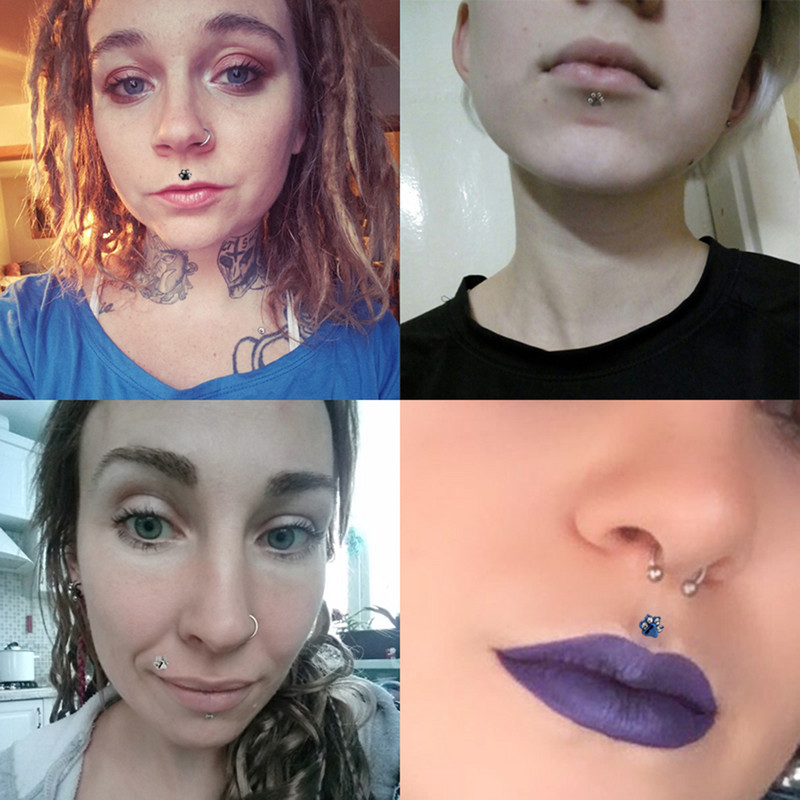 1db Paw Zircon Labret ajakgyűrű rozsdamentes acél belső menetes Monroe gyűrű testékszer 16g porc Tragus Helix piercing