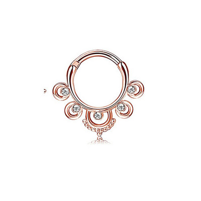 1 buc Inele 16G Septum Clicker Inele cu balamale pentru nas Inele pentru cartilaj Tragus Hoop Helix Daith Cercei Piercing nas Bijuterii 10MM