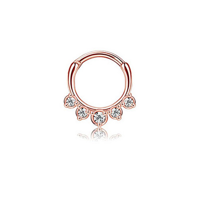 1 buc Inele 16G Septum Clicker Inele cu balamale pentru nas Inele pentru cartilaj Tragus Hoop Helix Daith Cercei Piercing nas Bijuterii 10MM