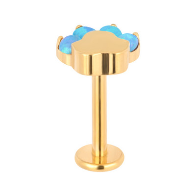 ASTM F136 Titan Lip Stud Blaze Shape Zircon Shape Top Labret PIERC Ureche Cartilaj Tragus Helix Limbă Piercing unghii Bijuterii