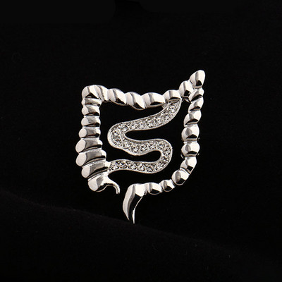 Hanreshe Ace de broșă de cristal în formă de intestine medicale de culoare aurie metal insigna organului uman anatomie bijuterii pentru cadouri medic asistentă