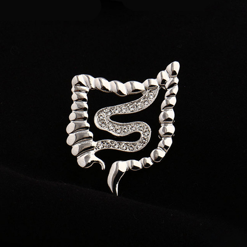 Hanreshe Ace de broșă de cristal în formă de intestine medicale de culoare aurie metal insigna organului uman anatomie bijuterii pentru cadouri medic asistentă