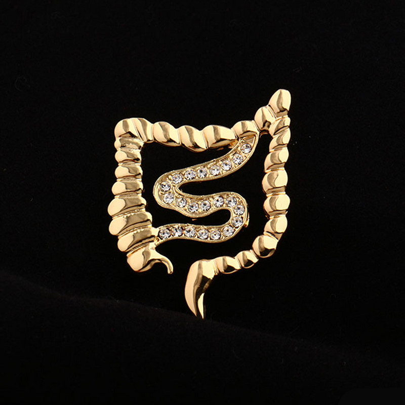 Hanreshe Ace de broșă de cristal în formă de intestine medicale de culoare aurie metal insigna organului uman anatomie bijuterii pentru cadouri medic asistentă