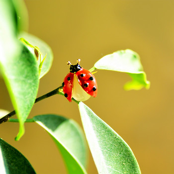 Morkopela Fashion Ladybug Enamel Pin Rhinestone Insect Bug Брошки Малка яка Брошка Брошка Брошка Жени Мъже Бижута Шал Щипка