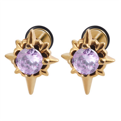 2 kom Punk gotičke naušnice od nehrđajućeg čelika Ear Stud Ear Tragus Helix Režanj hrskavice Lažni čep Muškarci Žene Nakit za piercing tijela 16 g