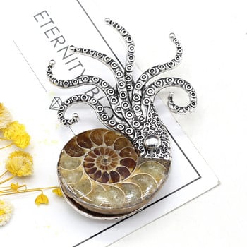 Fine Natural Shell Nautilus Brooches Καρφίτσες από κράμα κόγχης για στολές πάρτι για κορίτσια Αξεσουάρ κοσμήματα Δώρα