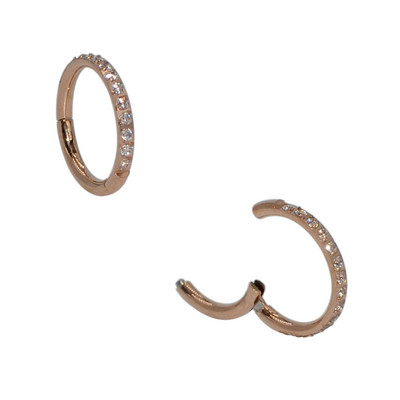 2kom ušne hrskavice naušnice Pregrada Kliker bočno popločani cirkon 316L kirurški piercing prstena za segment nosa od nehrđajućeg čelika