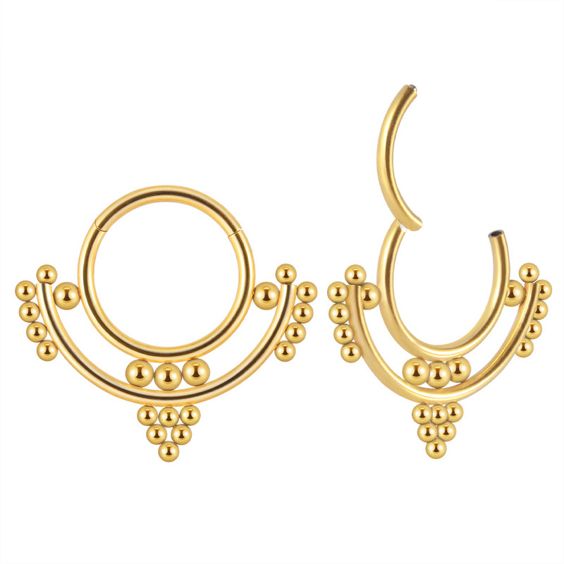 Dreamlee 16g Ear Daith Snug Helix Cartilage Septum Hoop Inel Ureche Clicker Nas Buze Segment Inele cu balamale Piecing Bijuterii pentru corp