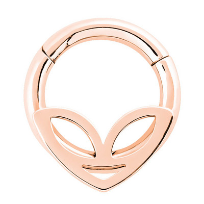 1/2PCS Piercing Septum Opal Clicker 16G Cristal Septum Piercing Inel Tragus Piercing Cercel Daith Helix Bijuterii