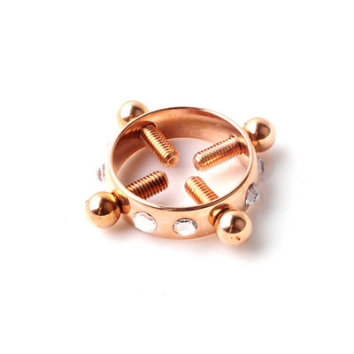 2 bucăți din oțel inoxidabil bijuterii pentru piercing pentru mamelon fals care nu piercing inel pentru mamelon fals fermecător scut pentru mamelon bijuterii false pentru piercing pentru corp