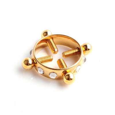 2 bucăți din oțel inoxidabil bijuterii pentru piercing pentru mamelon fals care nu piercing inel pentru mamelon fals fermecător scut pentru mamelon bijuterii false pentru piercing pentru corp