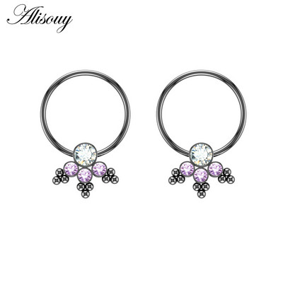 Alisouy 2 kom cirkonski prsten za bradavice za piercing uteg štitnik šipke prstenovi od kirurškog čelika Seksi igre za odrasle Ženske dojke Nakit za tijelo Poklon