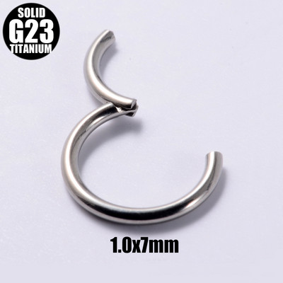 2 vnt. G23 titano vyrių segmento nosies žiedas 18g&16g&14g&12g spenelių spustelėjimas ausų kremzlė Tragus Helix lūpų auskarų vėrimas unisex papuošalai