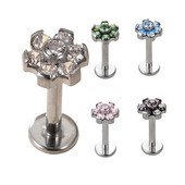 G23 Ttianium Labret Lip Stud žiedlapių formos cirkonio akmuo Labret lūpų žiedas Ausies kremzlė Tragus auskaras Helix kūno auskarų vėrimas papuošalai