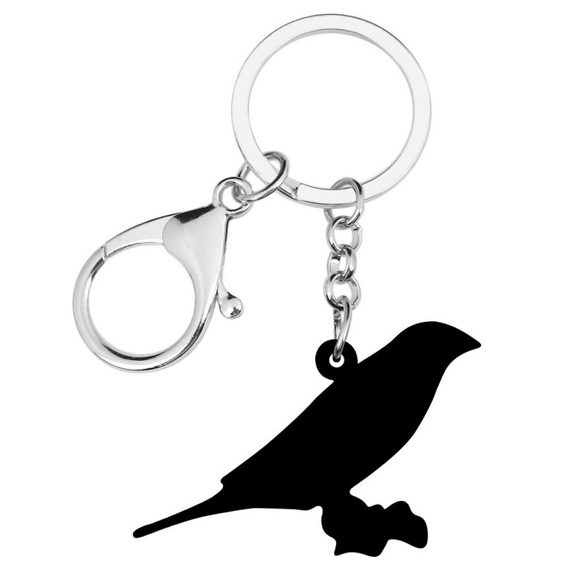 NEWEI Akrilo Gouldian Finch Paukščiai Raktų Pakabukai Žiedai Rankinės Automobilių Piniginės Dekoracijos Raktų Pakabukai Moterims Merginoms Paaugliams Vyrams Pakabukai Dovana