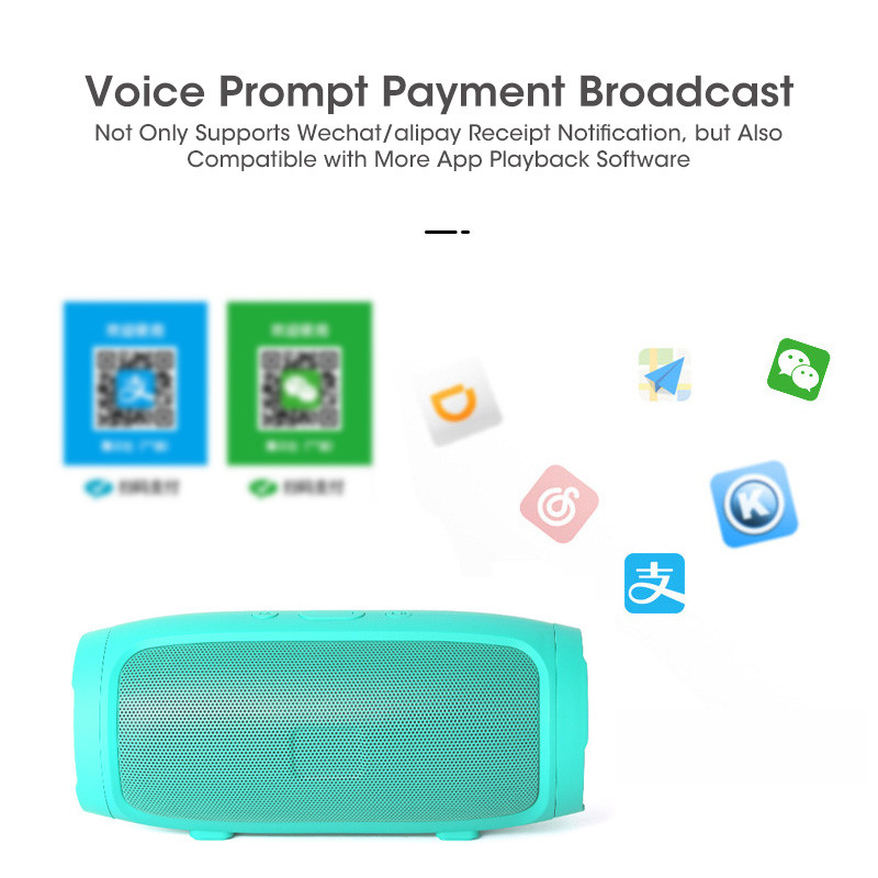 Nešiojamas garsiakalbis belaidis su Bluetooth suderinamas žemųjų dažnių garsiakalbis lauko vandeniui atsparus garsiakalbis stereo erdvinio garso palaikymas FM TF