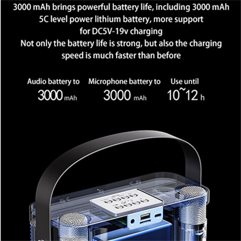 Ys-219 Prijenosni karaoke sustav zvučnika Bežični Bluetooth kompatibilni sustav zvučnika s 2 mikrofona Kućni TV KTV set