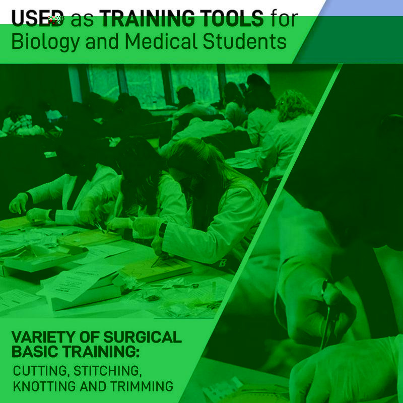 Chirurginio siuvimo mokymo rinkinys Skin Operate Siture Practice Odos lavinimo pagalvėlė Siuvimo žirklinis rinkinys Silikonas su adata Surgeon M T3S2