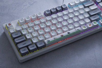 Rusiška mechaninė klaviatūra LED apšvietimas su 96 klavišų laidiniu mygtuku, nešiojama žaidimų mechaninė klaviatūra, skirta nešiojamojo kompiuterio kompiuteriams