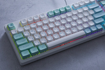 Rusiška mechaninė klaviatūra LED apšvietimas su 96 klavišų laidiniu mygtuku, nešiojama žaidimų mechaninė klaviatūra, skirta nešiojamojo kompiuterio kompiuteriams