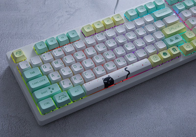 Rusiška mechaninė klaviatūra LED apšvietimas su 96 klavišų laidiniu mygtuku, nešiojama žaidimų mechaninė klaviatūra, skirta nešiojamojo kompiuterio kompiuteriams