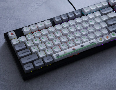 Rusiška mechaninė klaviatūra LED apšvietimas su 96 klavišų laidiniu mygtuku, nešiojama žaidimų mechaninė klaviatūra, skirta nešiojamojo kompiuterio kompiuteriams