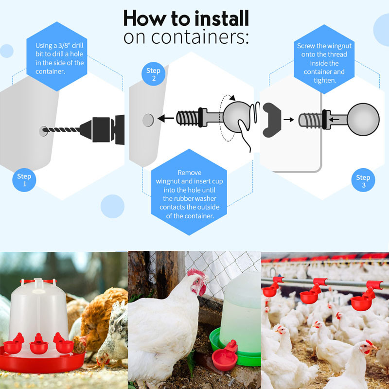 Automatska posuda za pojilo za piliće u čaši za vodu, komplet za pojenje na farmi, za kokošinjac, za pojilicu za perad, hranilica za pitku vodu za piliće, patka, guska, puretina, prepelica