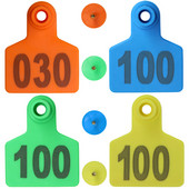 20 de bucăți numere consecutive etichete pentru urechi de porc portocaliu albastru verde galben cercei animale de fermă carnet de identificare digitală pentru animale