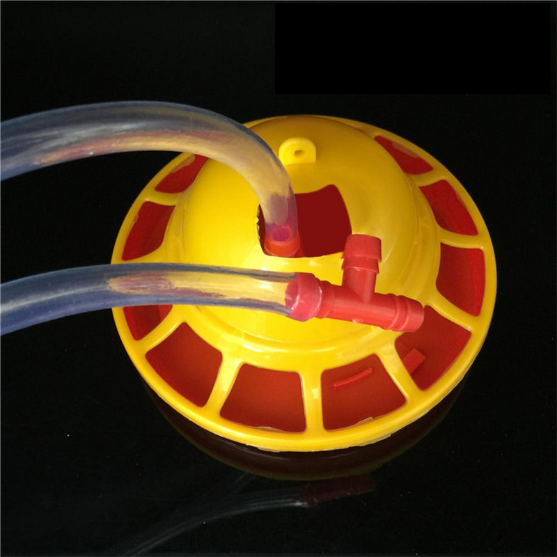 Linnuliha automaatsed joogitopsid Kanalinnud Faasanisöötjad Jootja Automaatne joogitööriist Põllumajandustööriistad Tuvijootjad