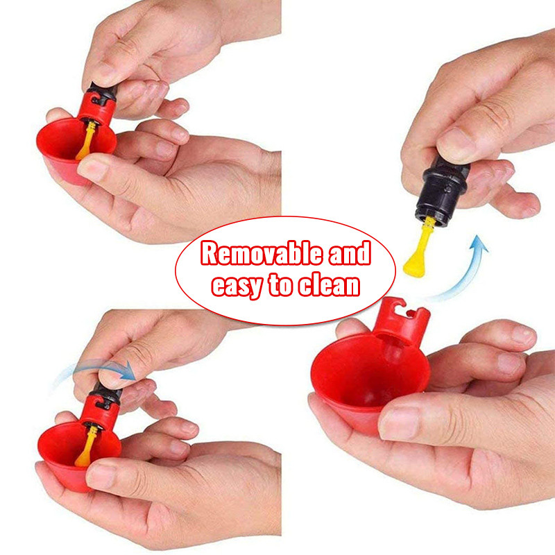 Automatinis vištienos gėrimo puodelis Ančių žąsų putpelių tiektuvas Plastikinis naminių paukščių girdytuvas Naminių paukščių vandens tiektuvas kieme