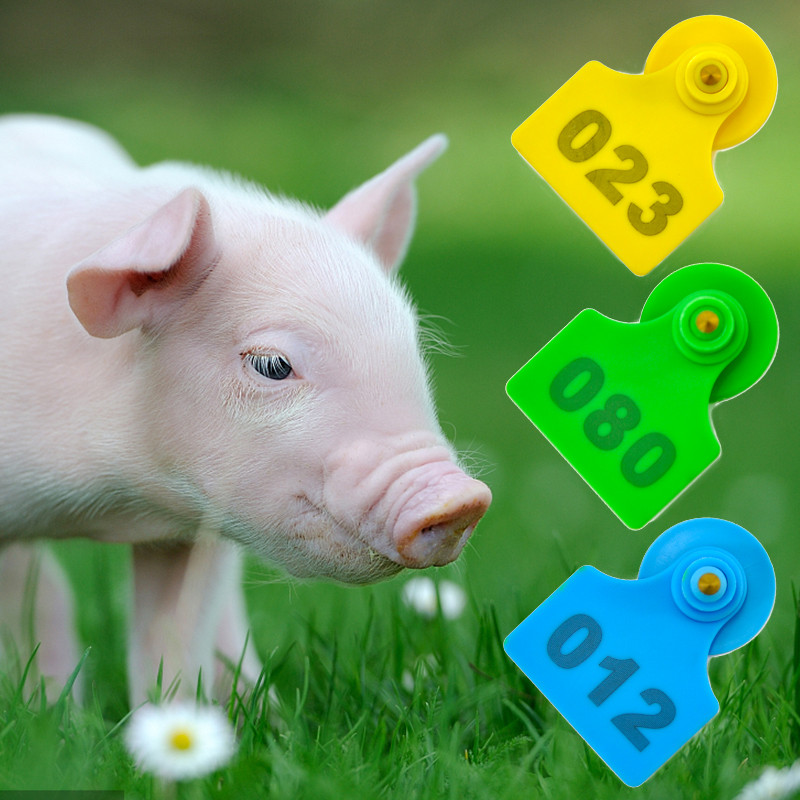 001-100 Etichete pentru urechi de porc Etichete numerotate pentru animale de fermă pentru animale de fermă pentru consumabile de ovine Etichete de semnalizare cu un aplicator cu clește