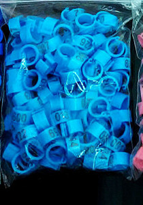 100 vnt Vidinis skersmuo 8 mm Paukščio pėdos žiedas balandis balandis papūgos kojos žiedai mažų paukščių pėdų žiedas paukščių segtukų žiedas 10 spalvų